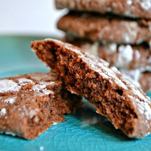 Chocolate Fudge Cookies